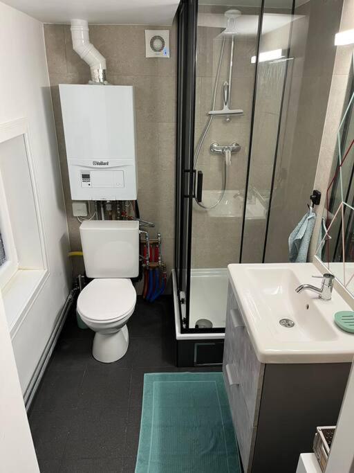 Duplex Avec Parking A 100M De La Mer デ パンネ エクステリア 写真